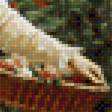 Предпросмотр схемы вышивки «Вхожу я в сад наполненный цветами» (№1998312)