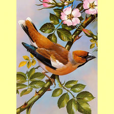 Схема вышивки «Птичка.»