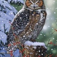 Схема вышивки «птицы»