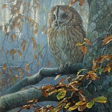 Схема вышивки «птицы»