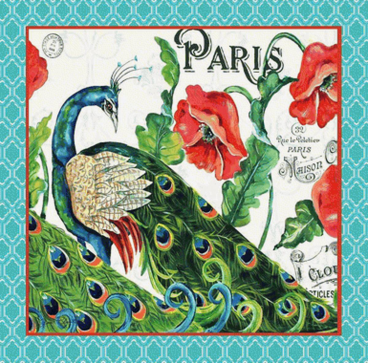 павлин - маки, открытка, павлин - предпросмотр