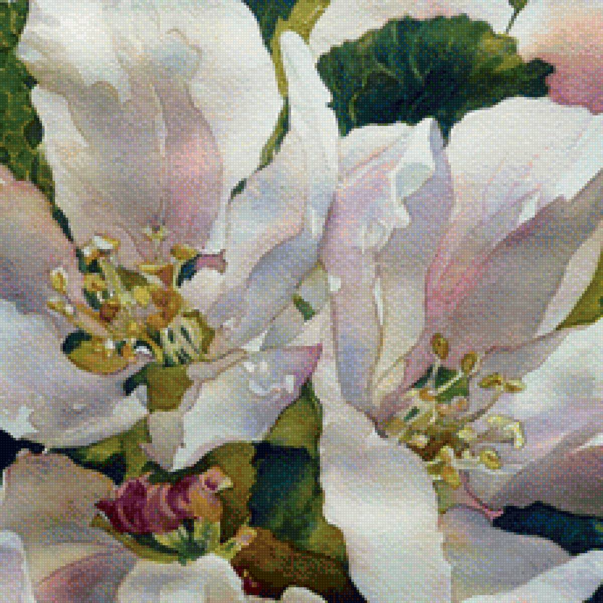 Яблоневый цвет - цветы, яблоневый цвет - предпросмотр