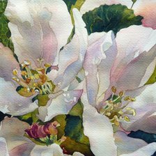 Схема вышивки «Яблоневый цвет»