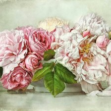 Схема вышивки «Пионы»