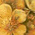 Предпросмотр схемы вышивки «Солнечно» (№1999311)