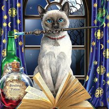 Схема вышивки «кот волшебный»