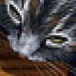 Предпросмотр схемы вышивки «котята на полке» (№1999364)