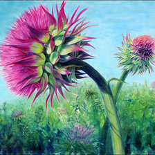 Схема вышивки «Цветущий чертополох в поле»