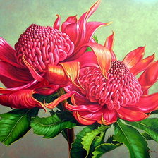 Схема вышивки «Красные хризантемы»