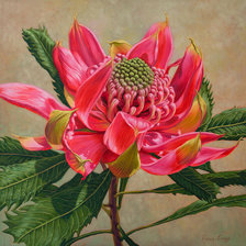 Схема вышивки «Красная хризвнтема»