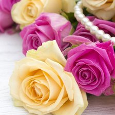 Схема вышивки «Розы»