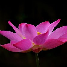 Схема вышивки «№1999596»