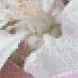 Предпросмотр схемы вышивки «№1999598»
