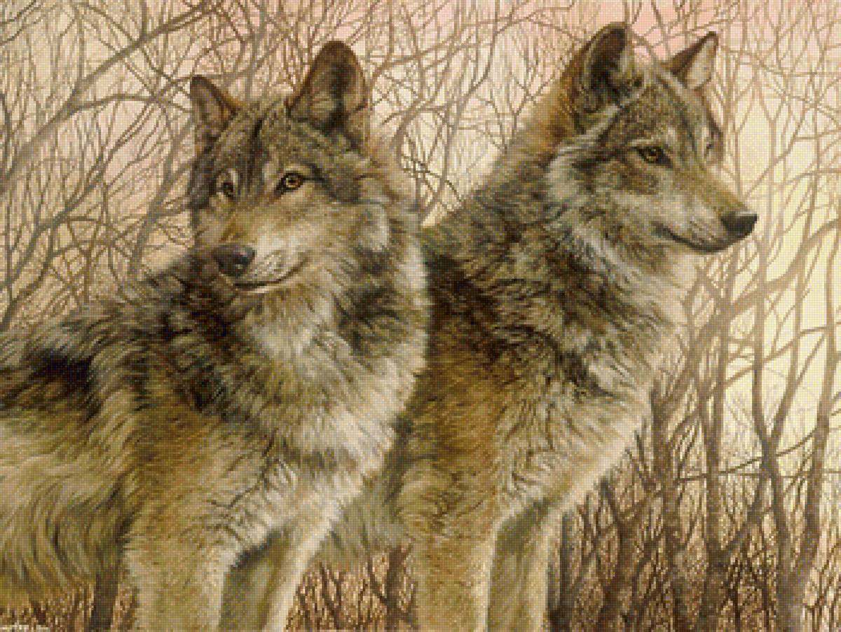 пара - волки - предпросмотр