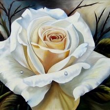 Схема вышивки «Розы»