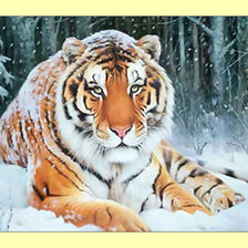 Схема вышивки «Тигр.»