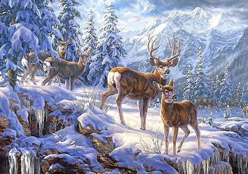 олени - мир животных - оригинал