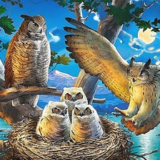 Схема вышивки «совы»