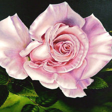 Схема вышивки «Роза»