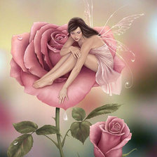 Схема вышивки «Фея на розе»