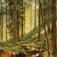 Лесной ручей Шишкин