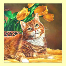 Схема вышивки «Рыжий котик.»