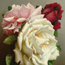 Схема вышивки «розы»