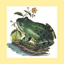 Схема вышивки «Серия "Земноводные"»