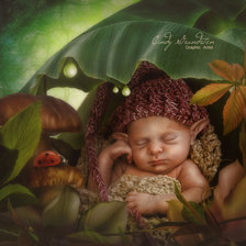 СЛАДКИЙ СОН