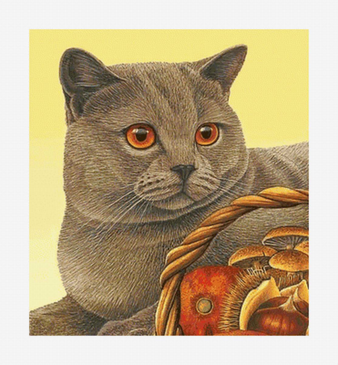 Котик. - животные, кот, кошка - предпросмотр