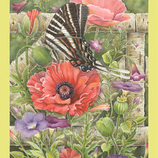 Схема вышивки «Маки.»