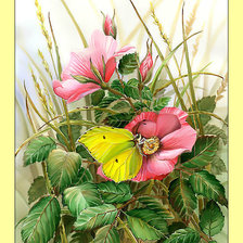 Схема вышивки «Шиповник и бабочка.»