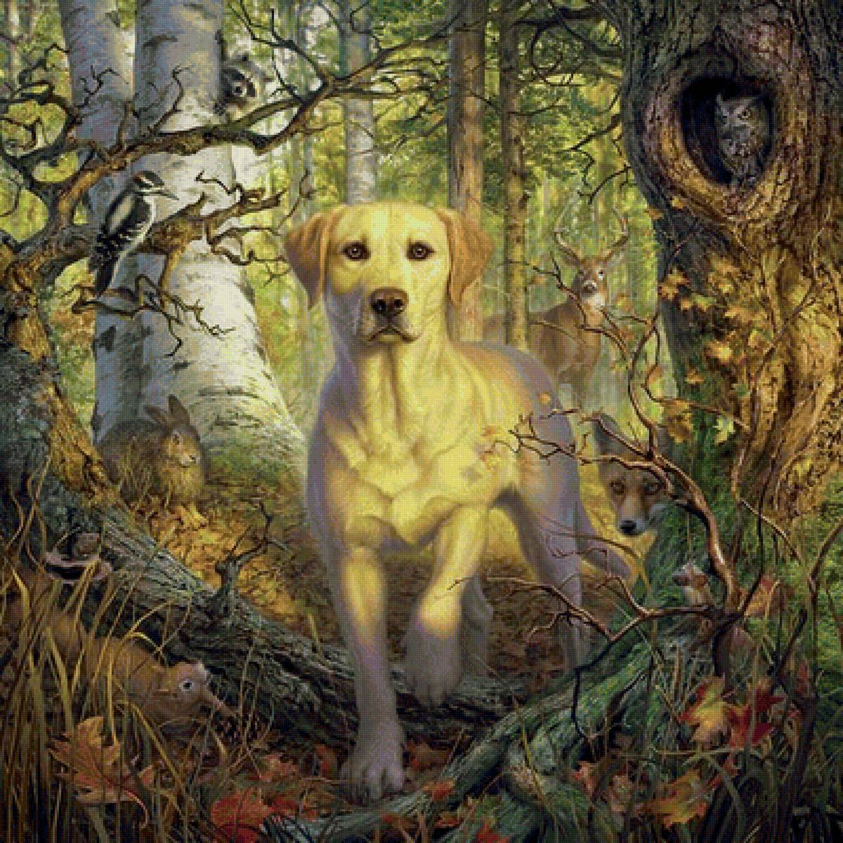 друзья - предпросмотр