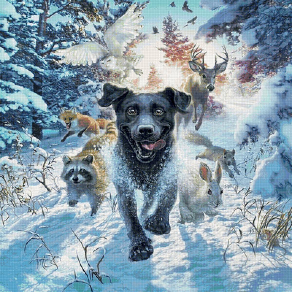 друзья - предпросмотр