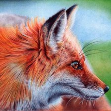 Схема вышивки «Лиса А3»