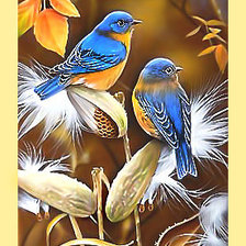 Схема вышивки «Серия "Птицы"»