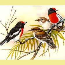 Схема вышивки «Яркие птички.»