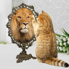 Схема вышивки «Я - красавчик»