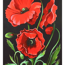 Схема вышивки «Серия "Маки".»