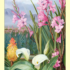 Схема вышивки «Пейзаж. Цветы.»