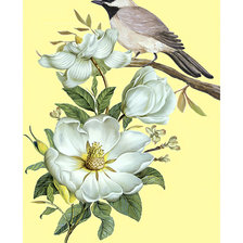 Схема вышивки «Птичка.»