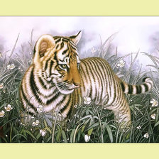 Схема вышивки «Тигрёнок.»