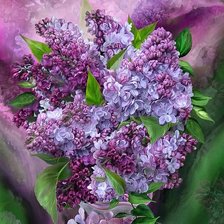 Lilacs