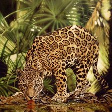 Схема вышивки «дикие»