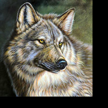 Схема вышивки «Волк»