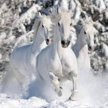 Схема вышивки «лошади»