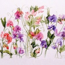 Схема вышивки «ДУШИСТЫЙ ГОРОШЕК»