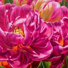 Схема вышивки «Peonies»