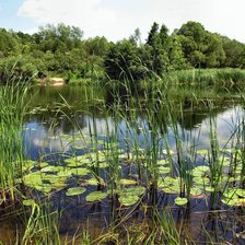 Схема вышивки «№2004800»