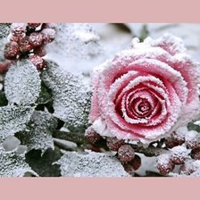 Схема вышивки «№2004829»